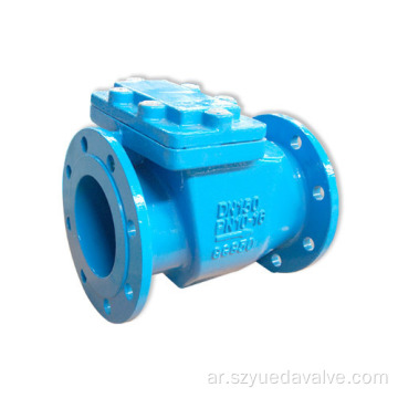 Swing Check Valve BS DIN3202-F6